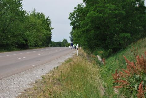 dsc_0749.jpg dsc_0749.jpg